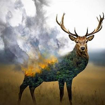 نگاهی به آثار هنری مرتبط با آتشسوزی جنگلهای زاگرس